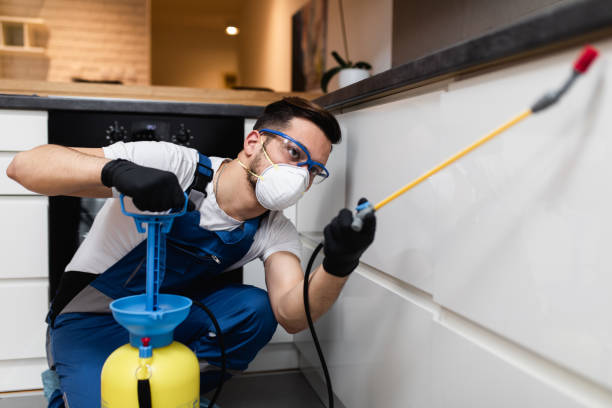 Best Local Pest Control Services  in Denver, NC