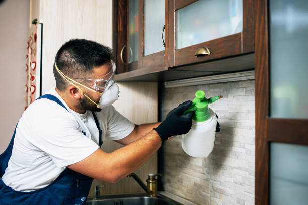 Best Cockroach Control Services  in Denver, NC