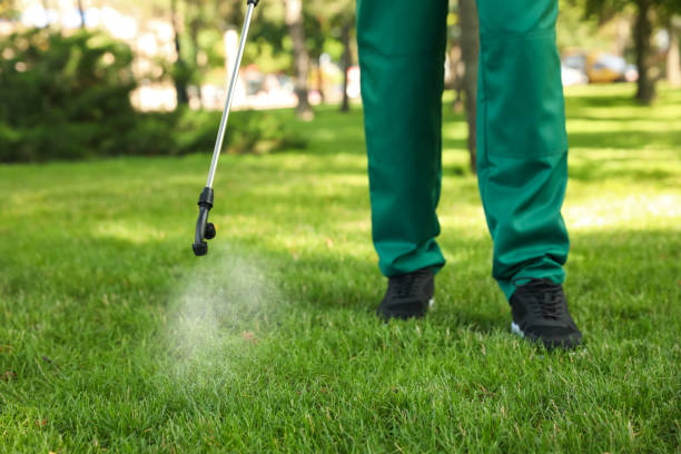 Best Rat Extermination Near Me  in Denver, NC