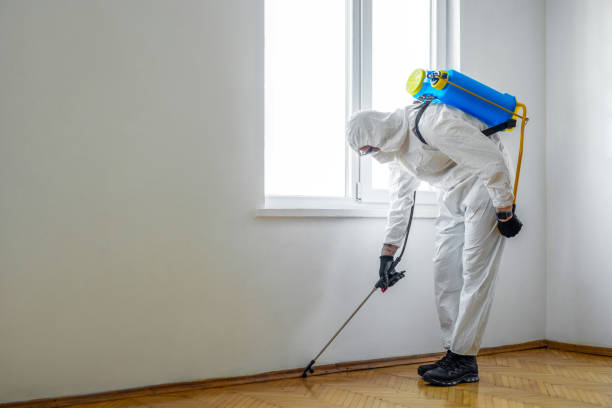 Best Best Pest Control Companies  in Denver, NC