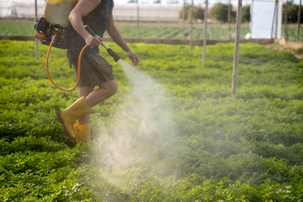 Best Affordable Pest Control Services  in Denver, NC