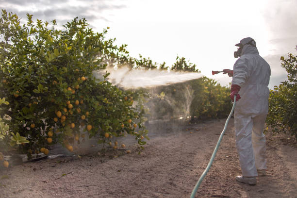Best Pest Control Cost  in Denver, NC