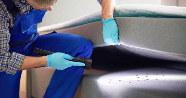 Best Bed Bug Extermination  in Denver, NC