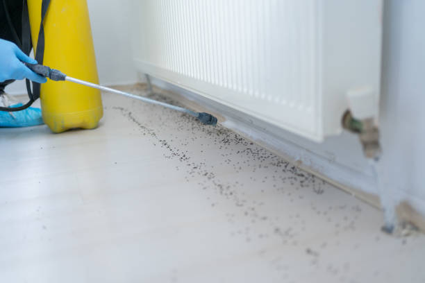 Best Pest Control for Businesses  in Denver, NC