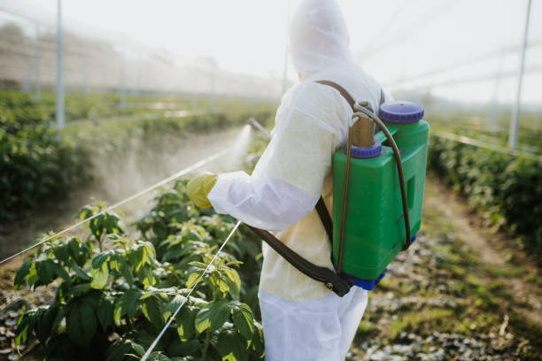 Best Residential Pest Control  in Denver, NC